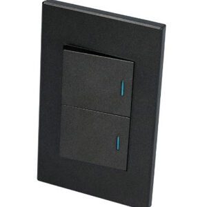 PLACA CON 2 SWITCH 1/2 COLOR NEGRO